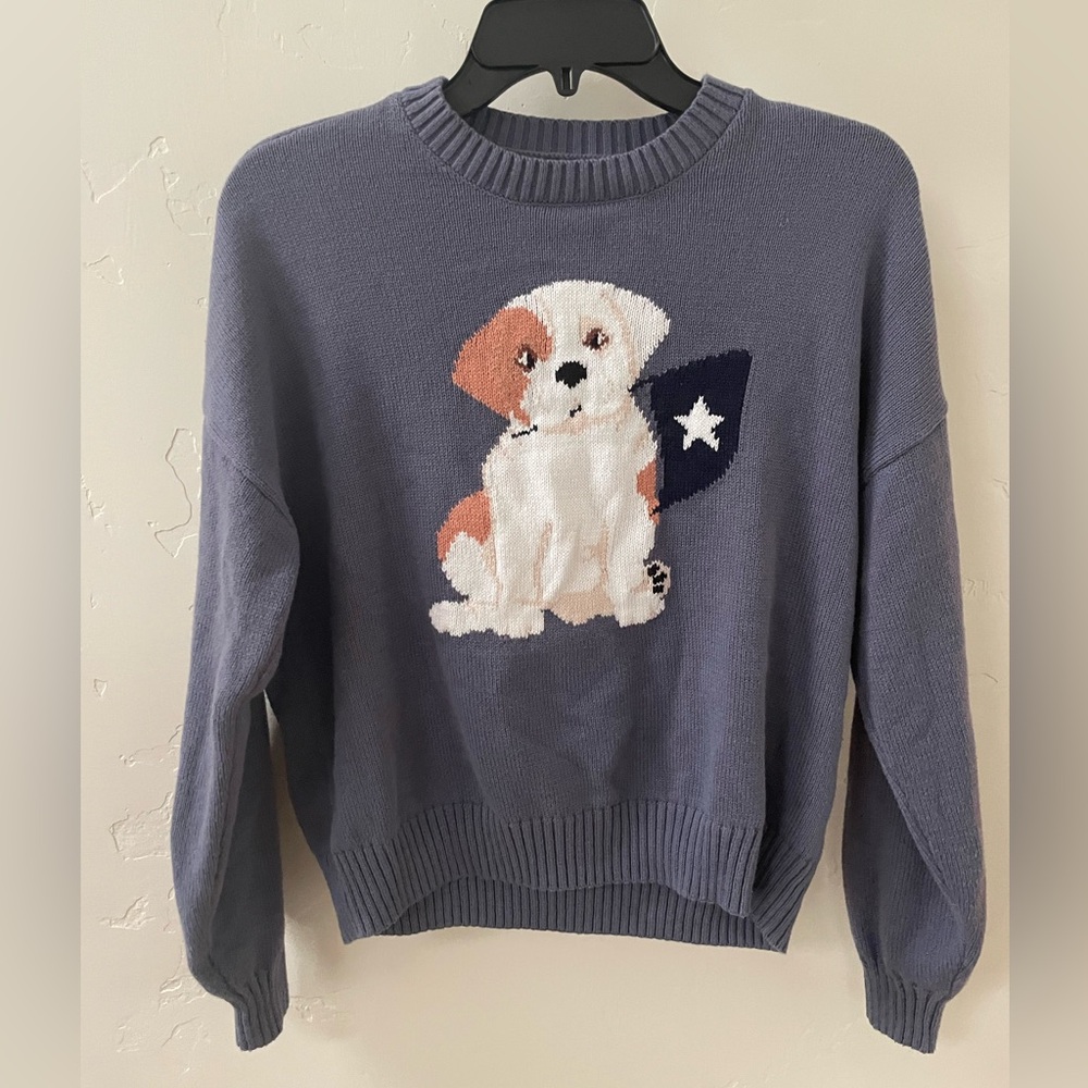 Hollister Dog Sweater